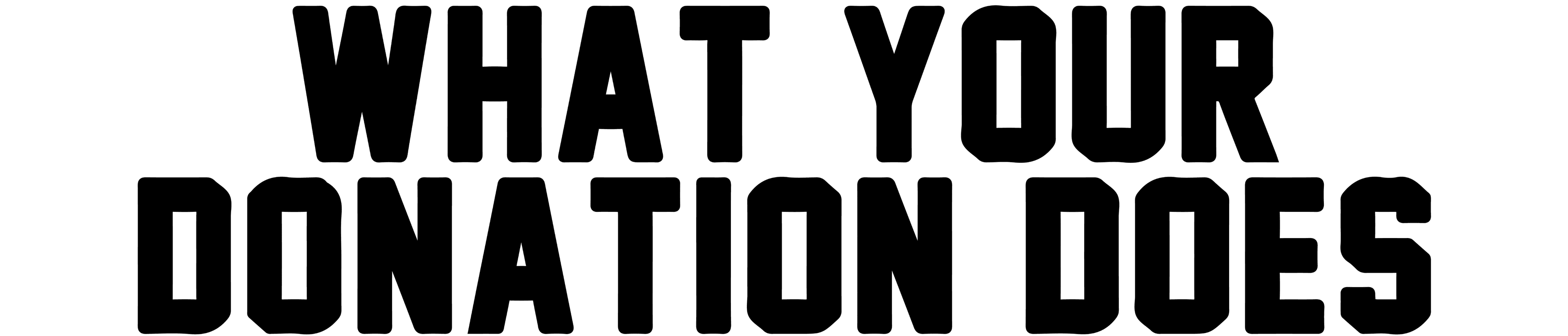 what your donation does scatter joy mental health nonprofit joy to the world fundraiser