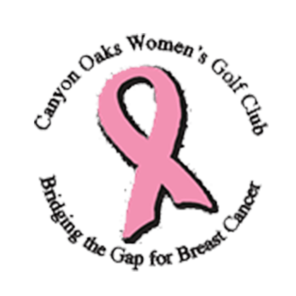 Bridging the Gap for Breast Cancer logo