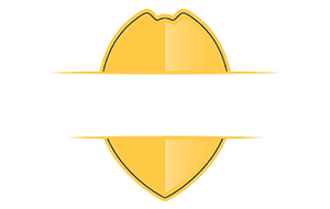 San Diego Police Foundation Logo