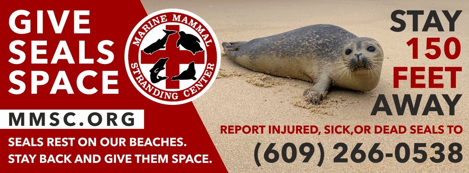 Marine Mammal Stranding Center logo