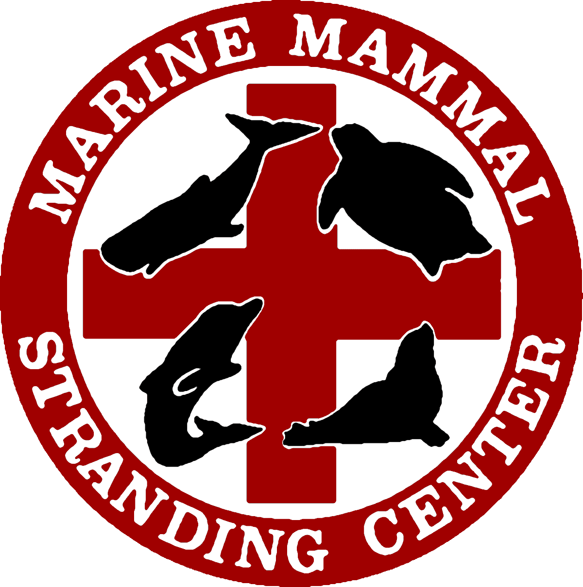 Marine Mammal Stranding Center logo