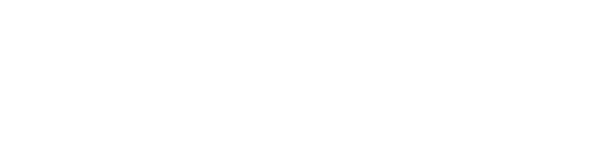 Senior Connection Logo