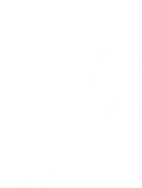 Elmington Elevates logo