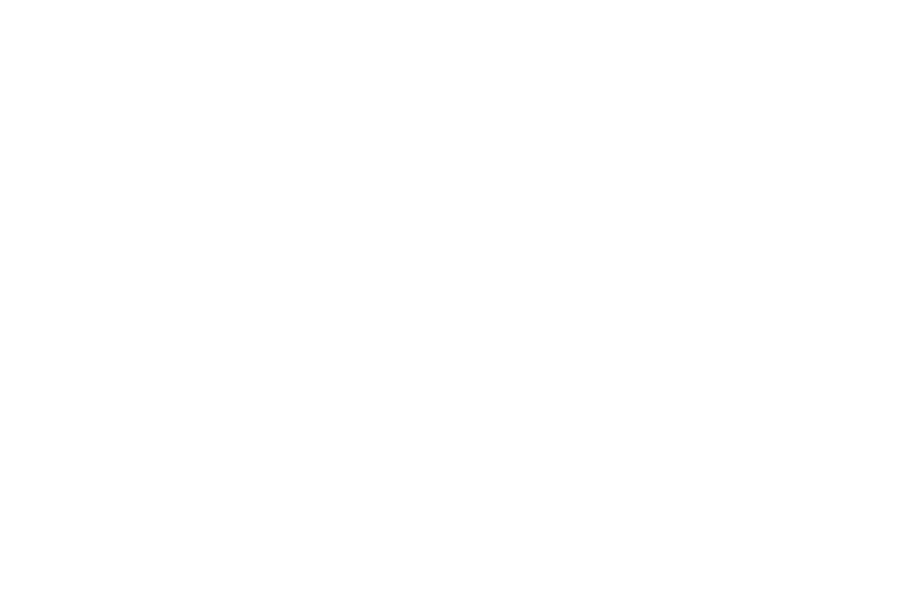 Vanderbilt Hillel logo