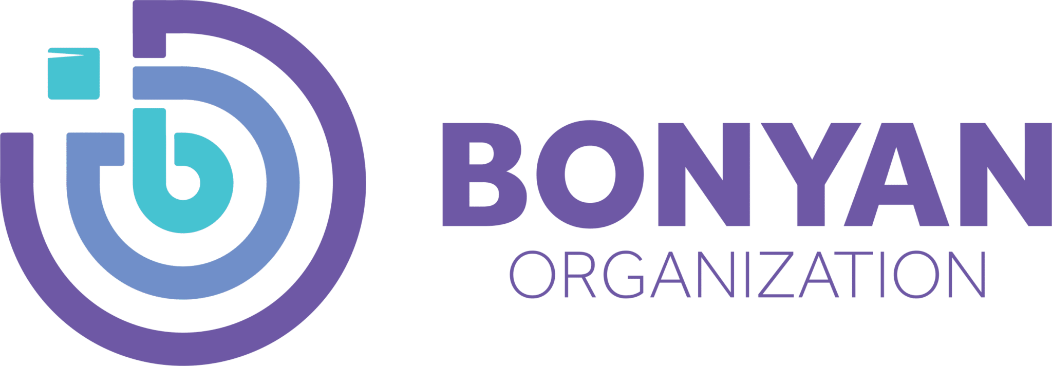 BONYAN INTERNATIONAL ORGANIZATION INC logo