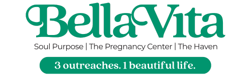 Bella Vita Network logo