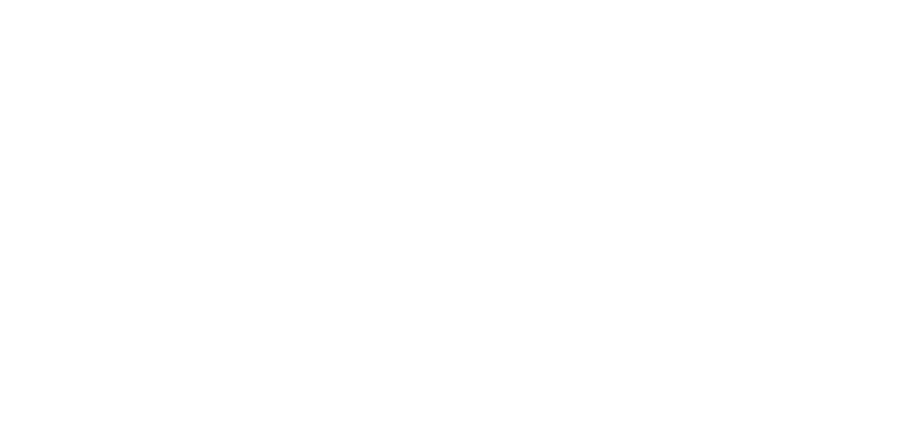 ChicoSol and NewsMatch logo