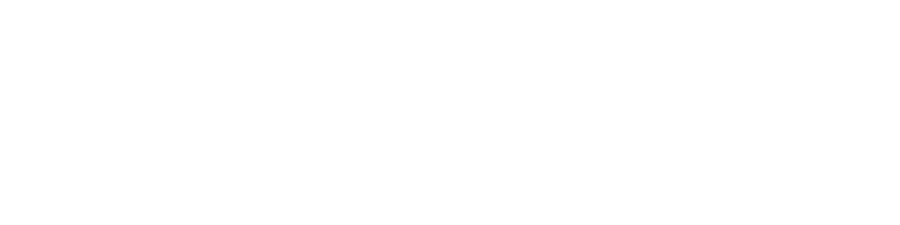 New Commonwealth Fund logo