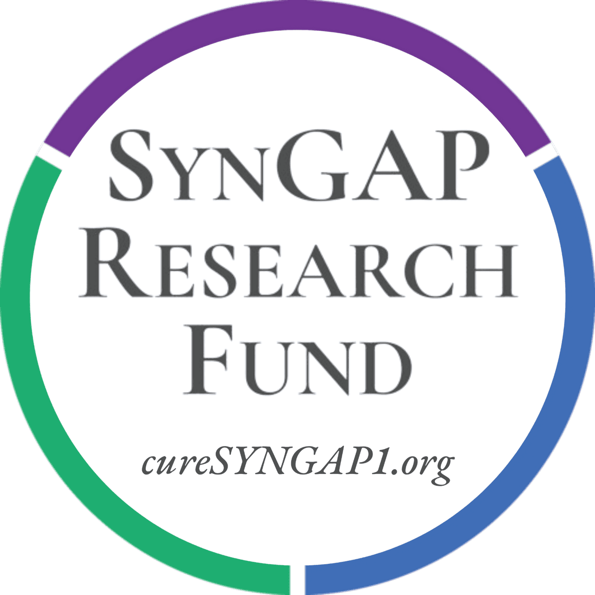 SynGAP Research Fund, Inc. dba cure SYNGAP1 logo