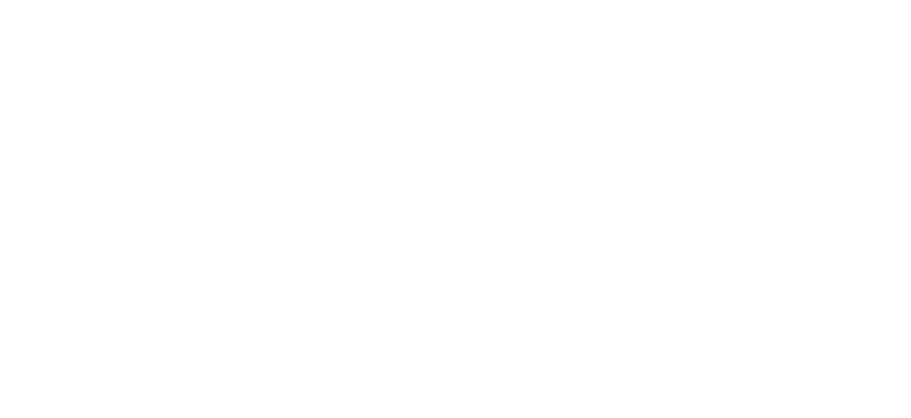 Fund for Educational Excellence Inc logo