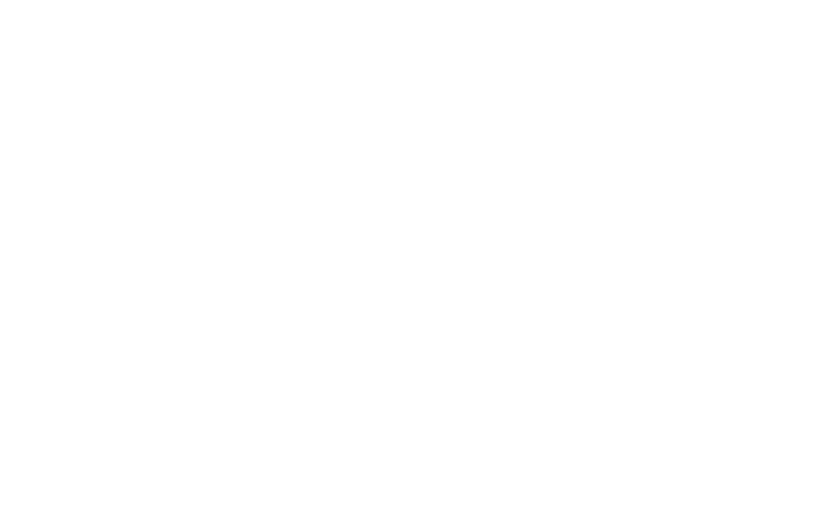 Camp Twin Lakes logo