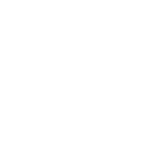 Black Visionaries Logo