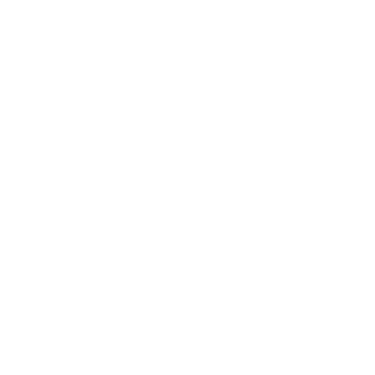 Bridge to Türkiye Fund (BTF) is a US-based charitable non-profit, 501(c)(3) organization. Contributions made to BTF are tax-deductible.