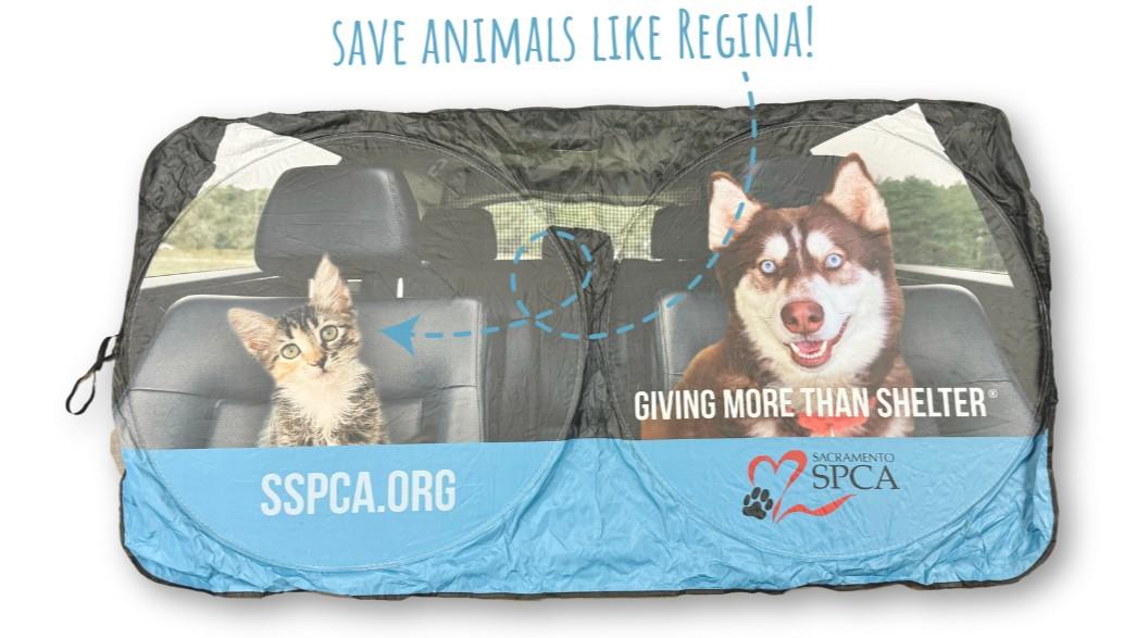 A vehicle sunshade with a kitten, a dog and the Sacramento SPCA logo pictured.