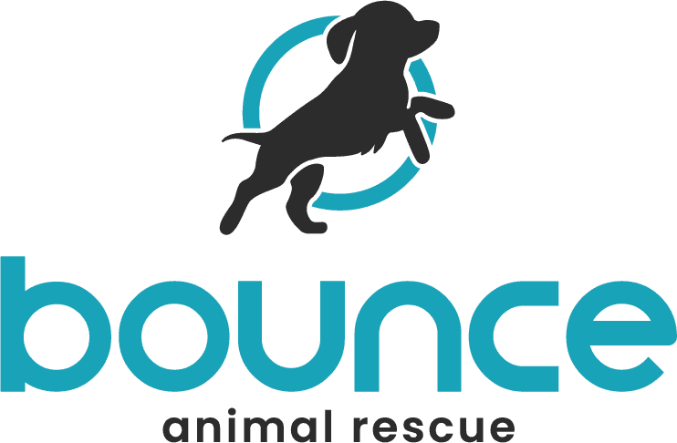 Bounce Animal Rescue logo