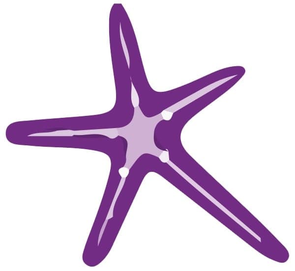 UNLIMBITED FOUNDATION logo