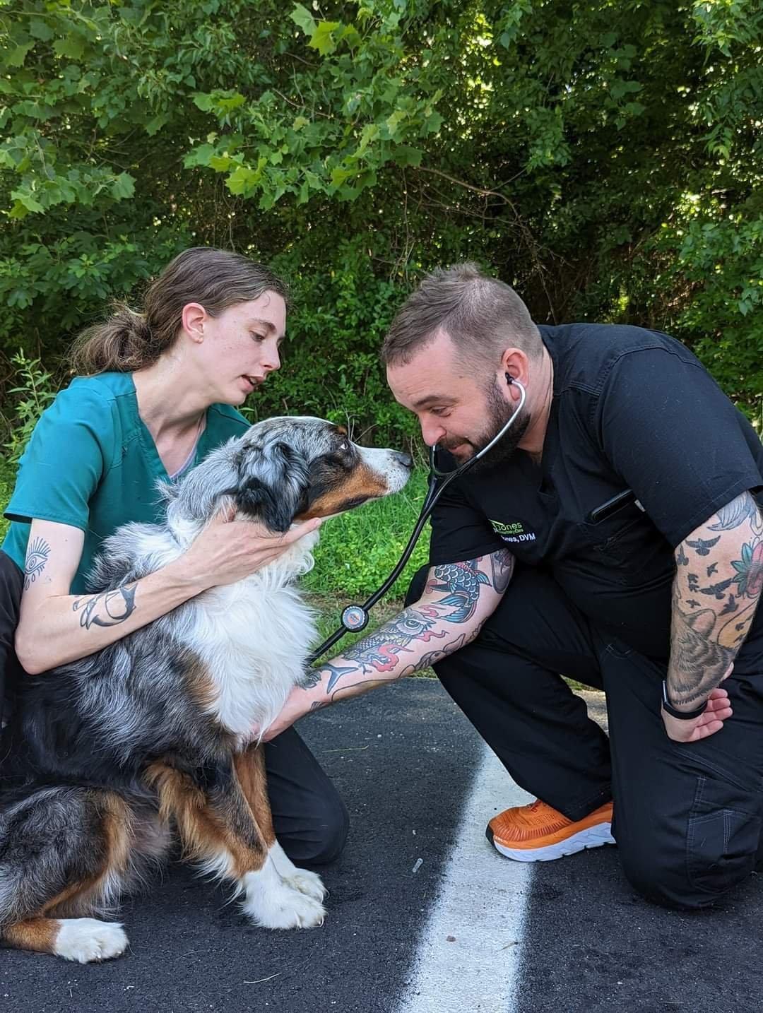 Salem's Light veterinarians provide quality care for our four-legged friends using ToolBank equipment to host successful pop-up clinics around Richmond. 