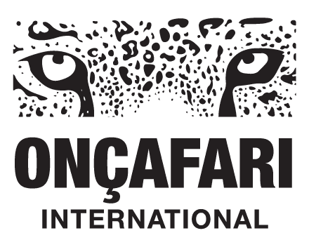 Onçafari International logo